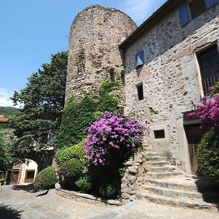 Amelia Camping Amélie-les-Bains-Palalda Kültér fotó