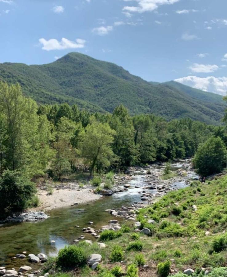 Amelia Camping Amélie-les-Bains-Palalda Kültér fotó